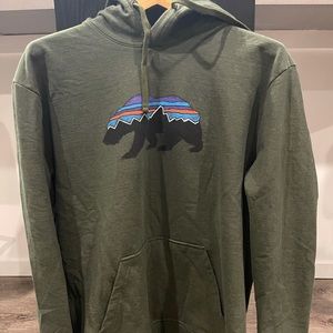 Men’s Patagonia Hoodie in Forest Green